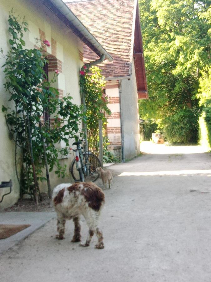 Cottages Et B&B De Troussay Cheverny Exterior foto